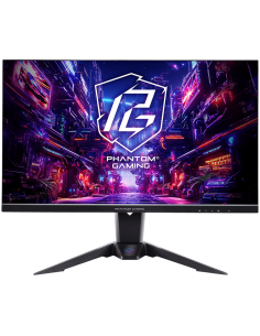 Asrock Gaming Monitor 2